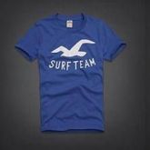 Camisas Hollister