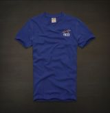 Camisas Hollister