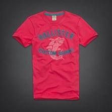 Camisas Hollister