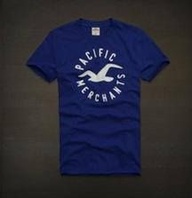 Camisas Hollister